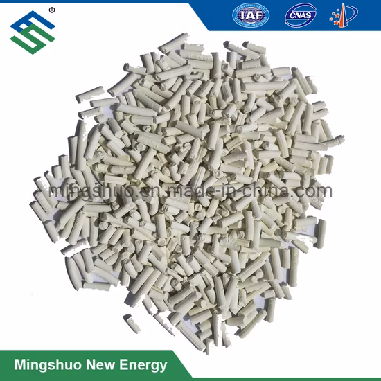 Nass- und Trockenbiogas